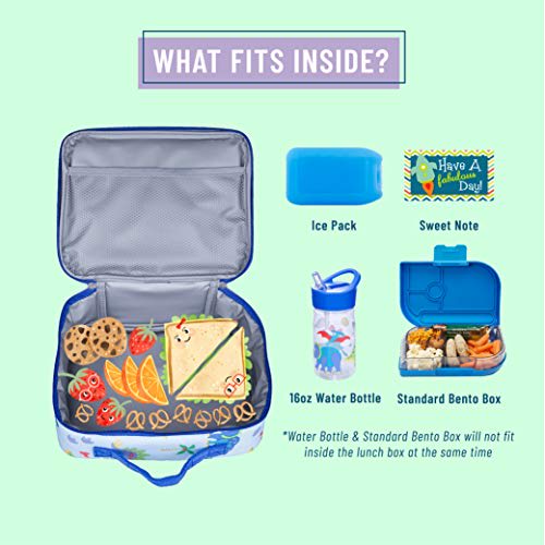 Best Kids Lunch Boxes & Water Jugs - 2023 Reviews