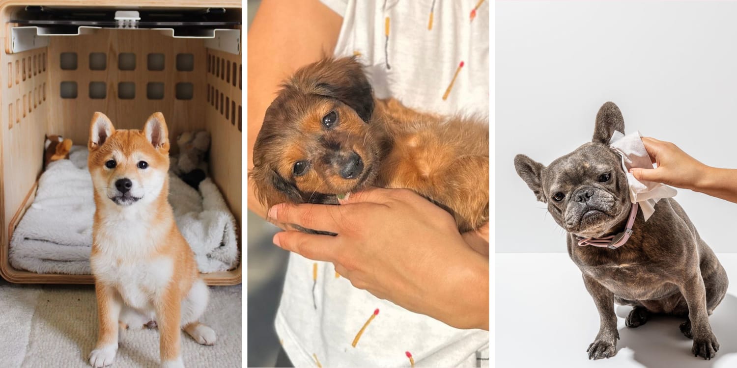 Puppies Love This Crate-Training Tool That Keeps Their Attention