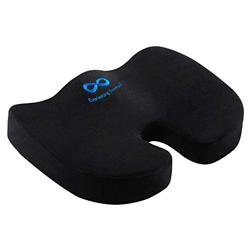 Top 10+ Picks of The Best Seat Cushion for Back Pain