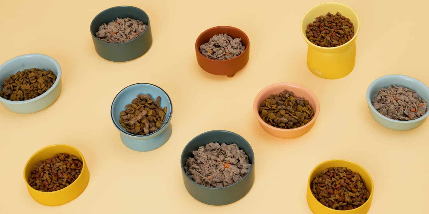 Can Dry Cat Food Harm Dogs