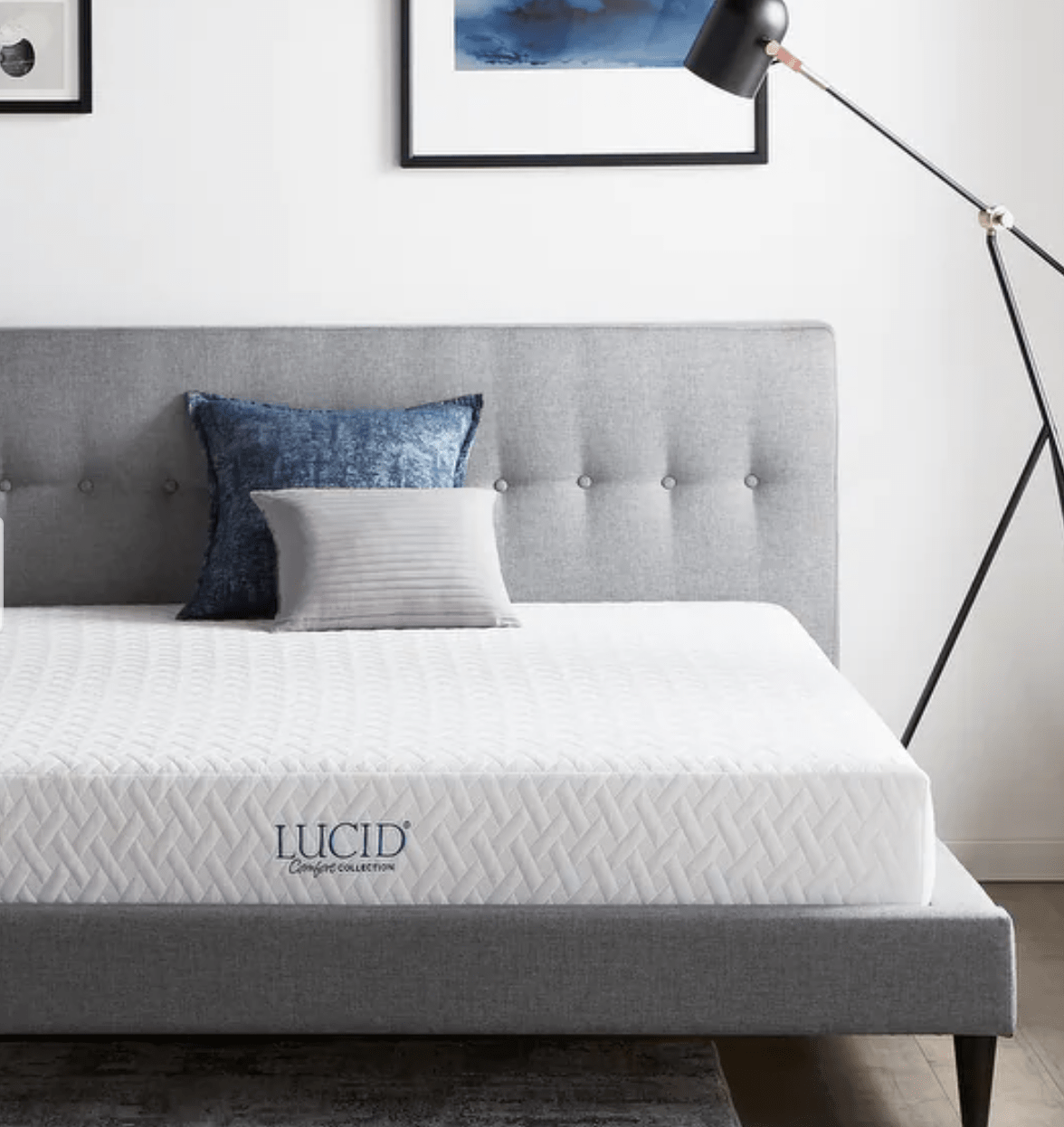 Bed Bath & Beyond on X: Overstock's Presidents Day Clearance is HEREl 💥  Shop huge savings on rugs, living room furniture, mattresses, & more + Free  Shipping on EVERYTHING!*:  #sale #homedecor