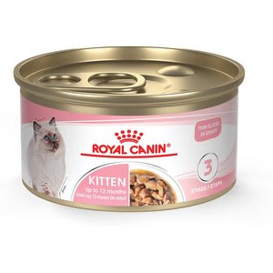 The best cat food of 2024 according to veterinarians