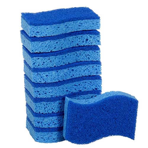 Which Type of Cleaning Sponge Should You Use?
