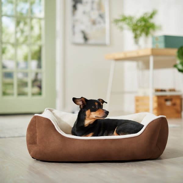 Ugg dog deals bed large