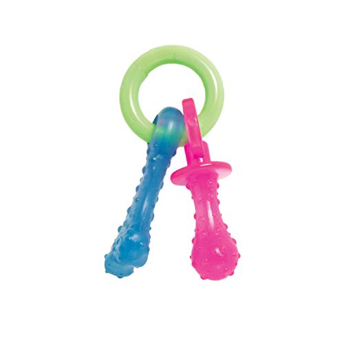 Pacifier Teething Toys For Kittens Petsmart Nylabone® Puppy