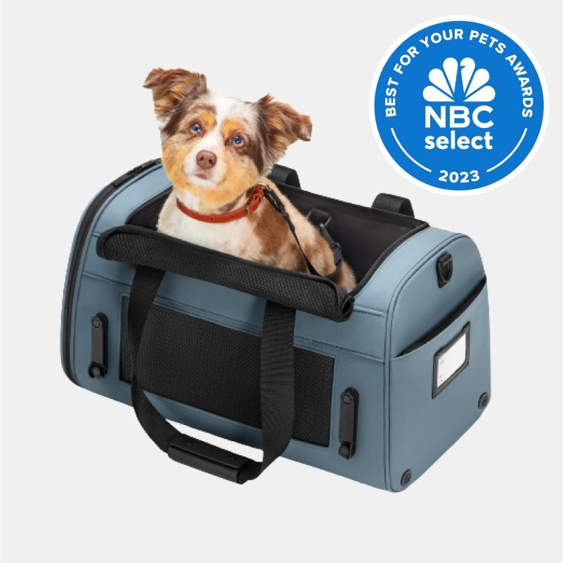 14 Best Dog Carriers of 2024 Tested and Reviewed by Editors