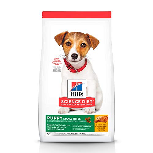 Best dog kibble 2018 best sale