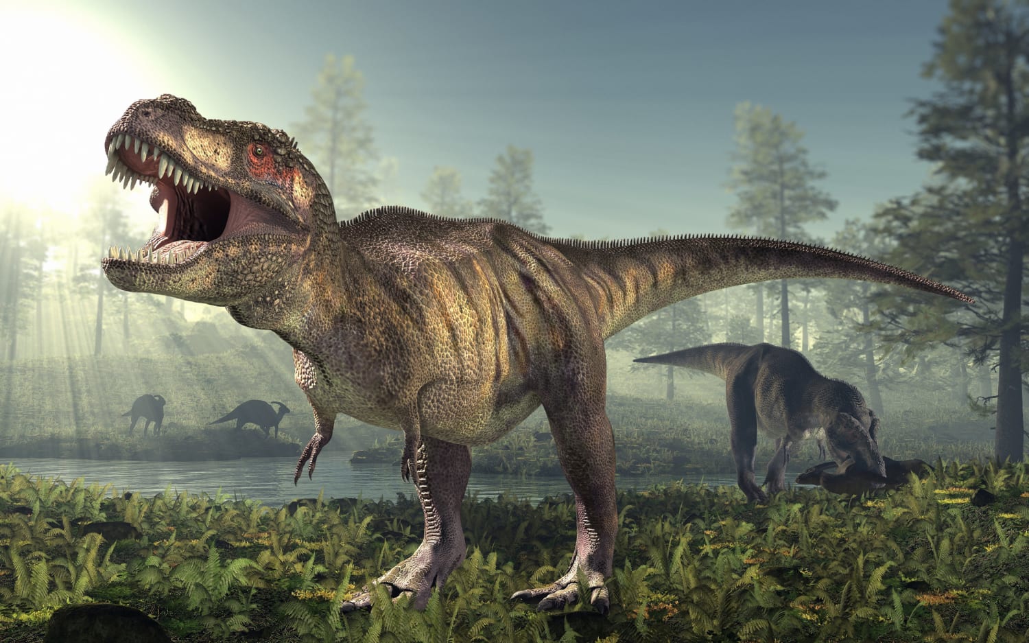 2 5 Billion T Rex Roamed Earth But Not All At Once Study Finds