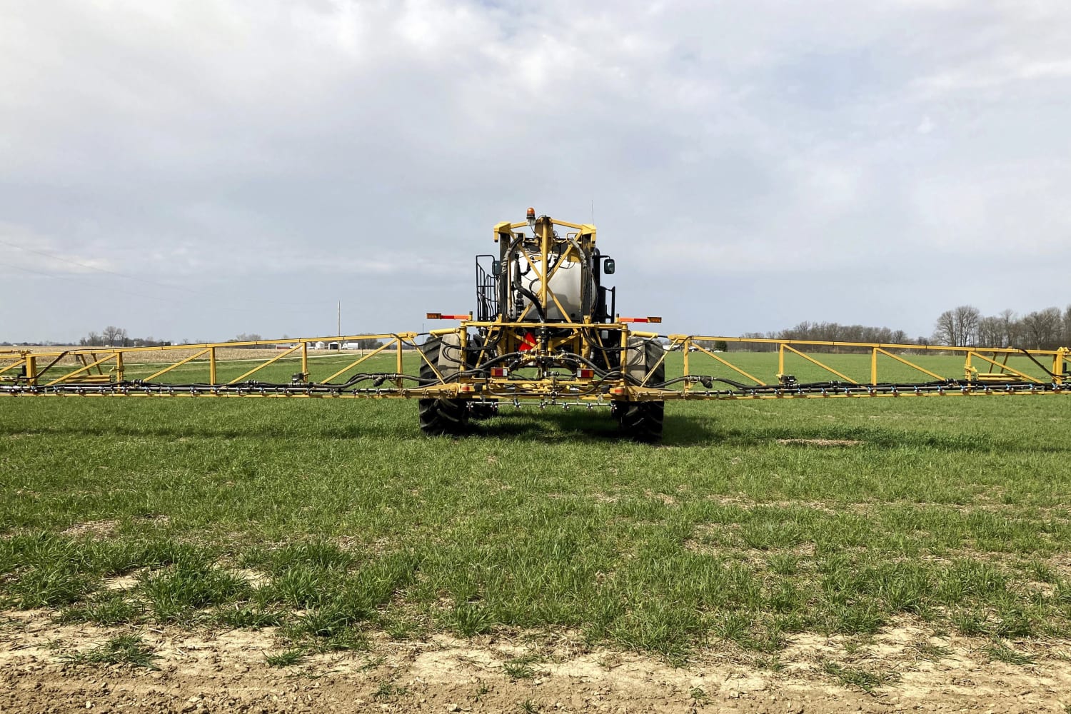 Carbon storage offers hope for climate, cash for farmers