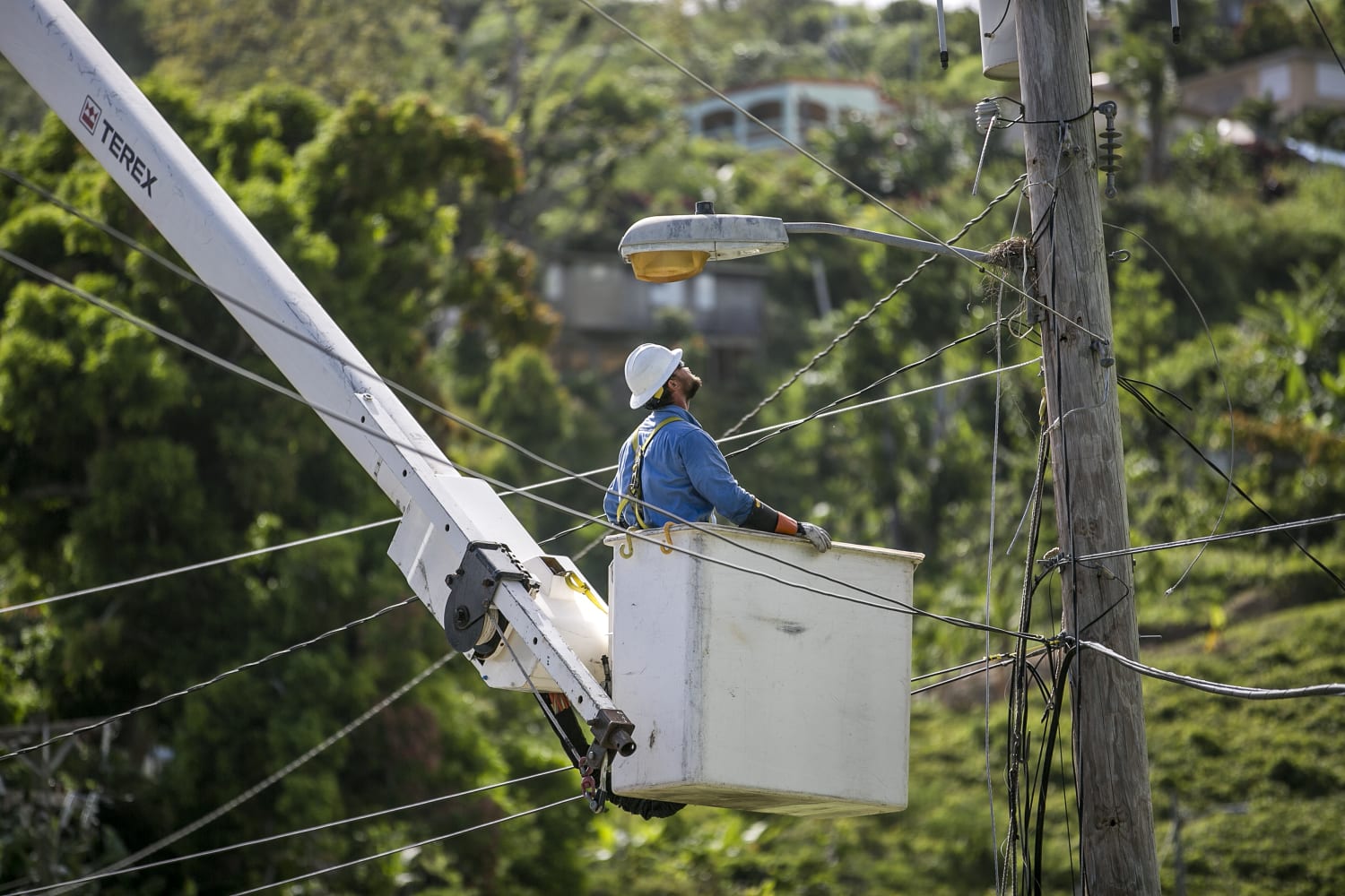 Mejorar sexual Oblea In Puerto Rico, private company takes over power utility service