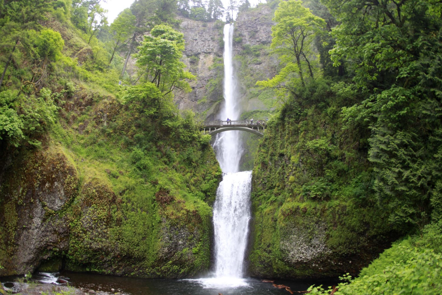 2-year-old child survived a fall of more than 100 feet near Multnomah Falls, outside Port...