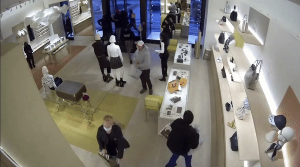 Video shows 14 people raid Louis Vuitton store in Chicago suburb, grab $120,000  in merchandise