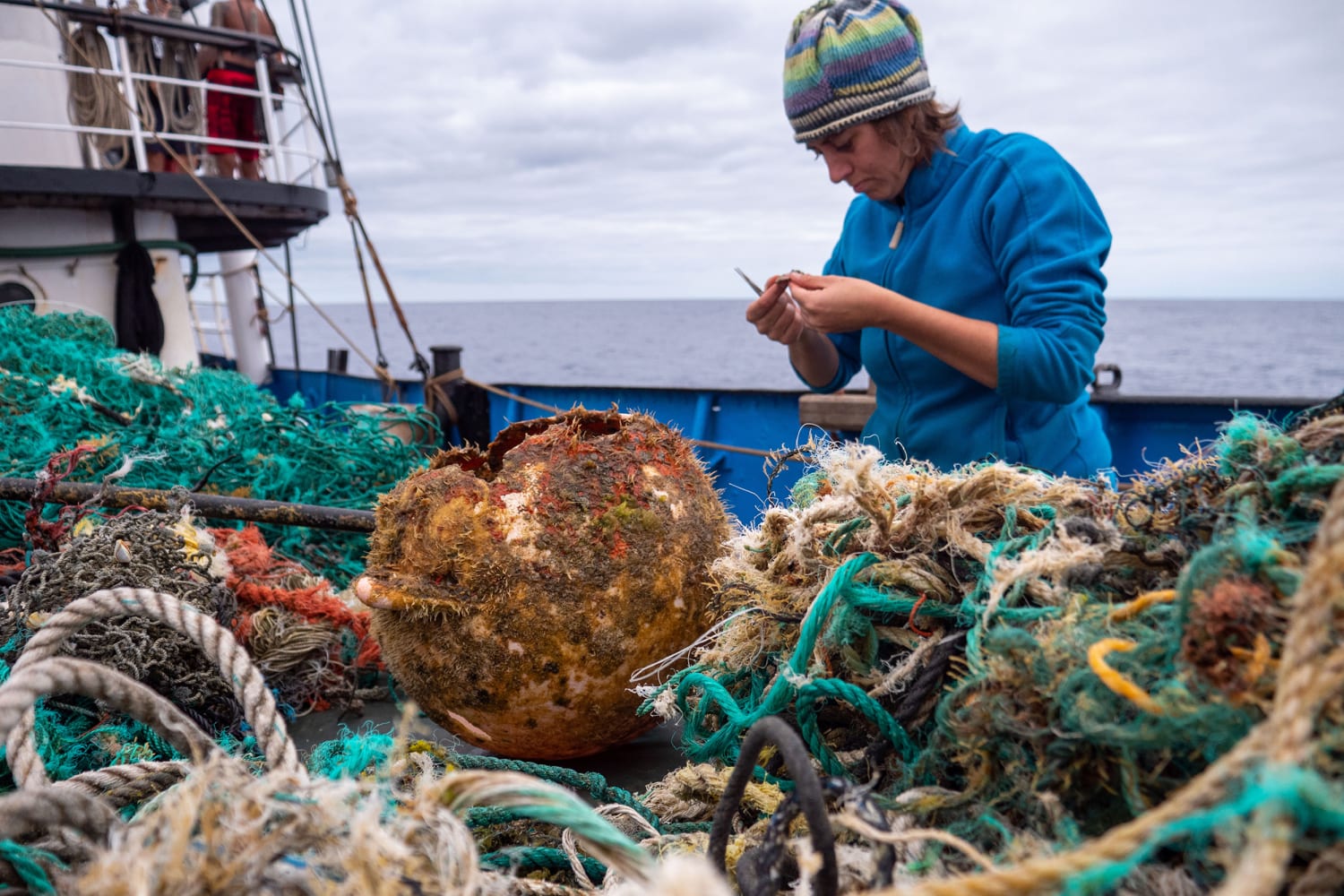 An ‘island has emerged’: Coastal species discovered thriving on Great Pacific Garbage Patch, scientists say