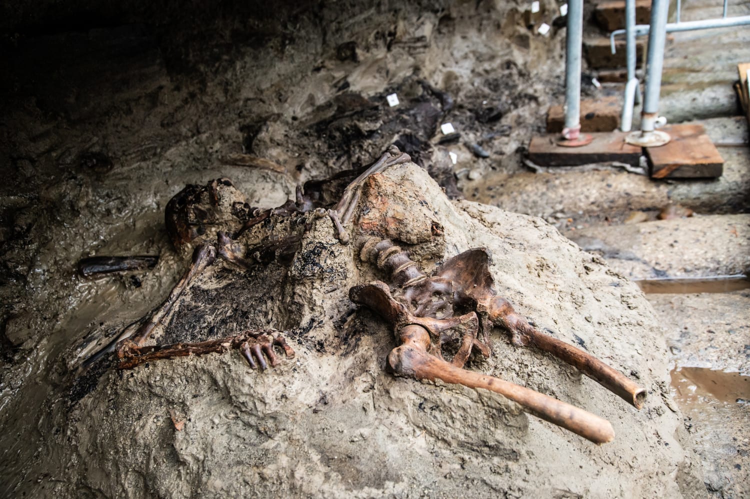 Skeleton found near Mount Vesuvius unlocks new clues into life of ancient Romans
