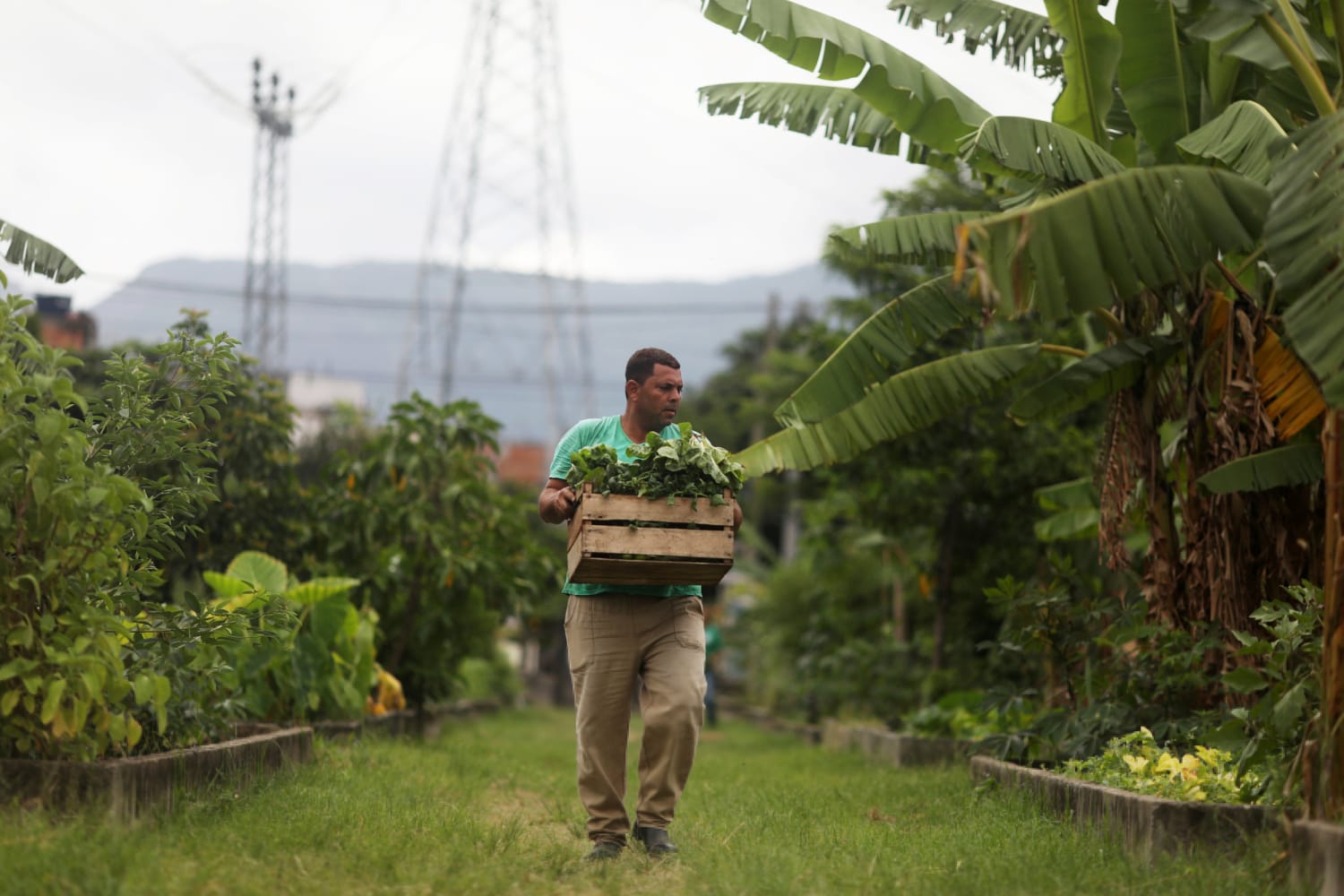 A huge lot used to smoke crack is now Latin America’s largest urban garden