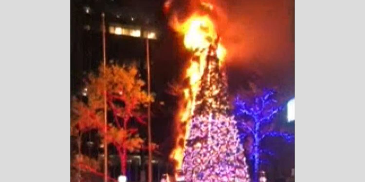 Man in custody after Christmas tree outside Fox News building in Manhattan set on fire, police say 
