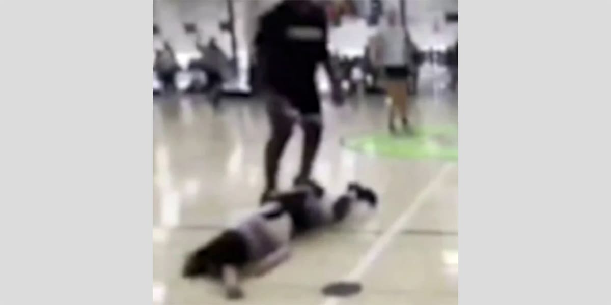 Mom accused of ‘instructing’ teen daughter to punch player during basketball game