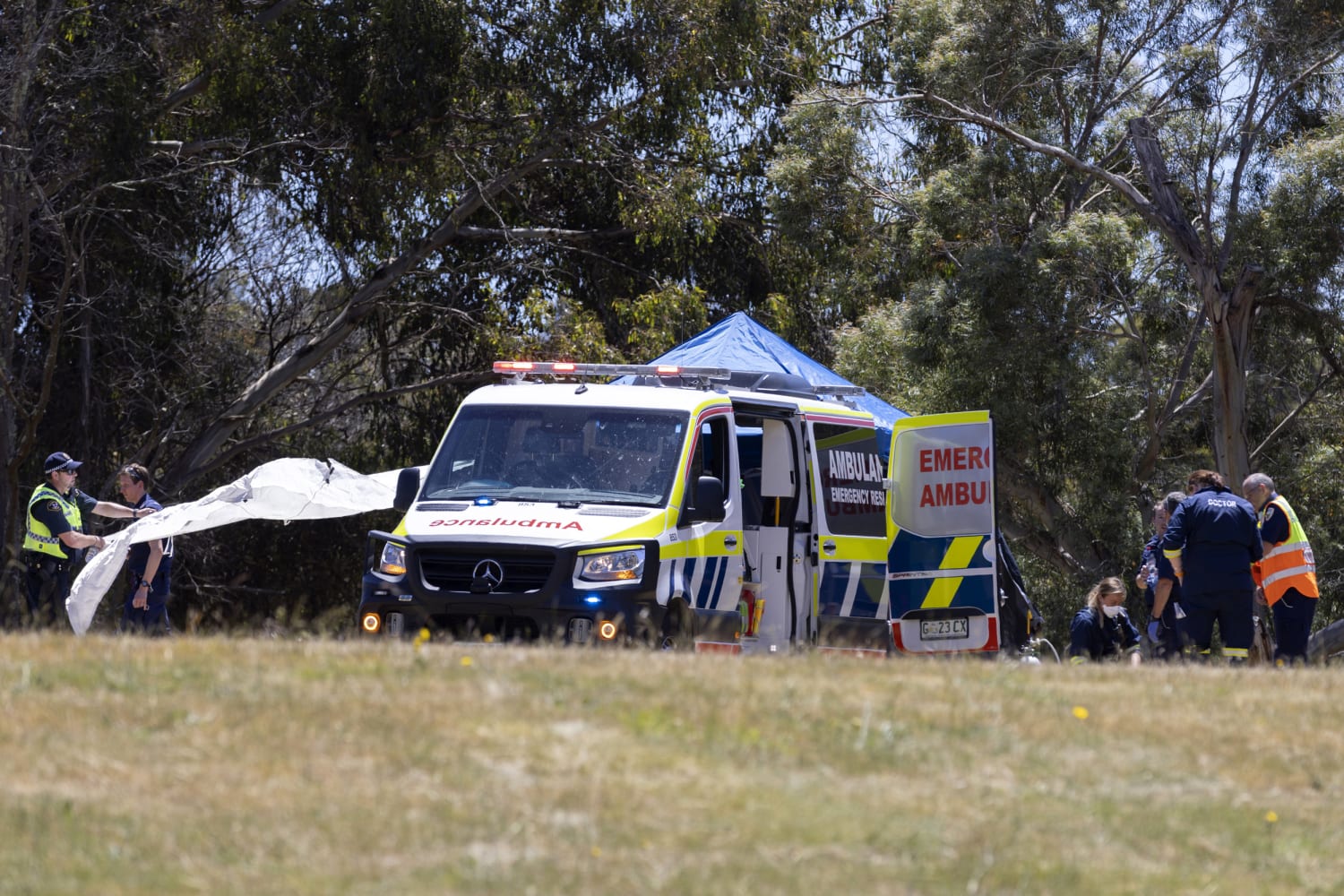 Five children killed after heavy winds send bouncy castle flying in Australia