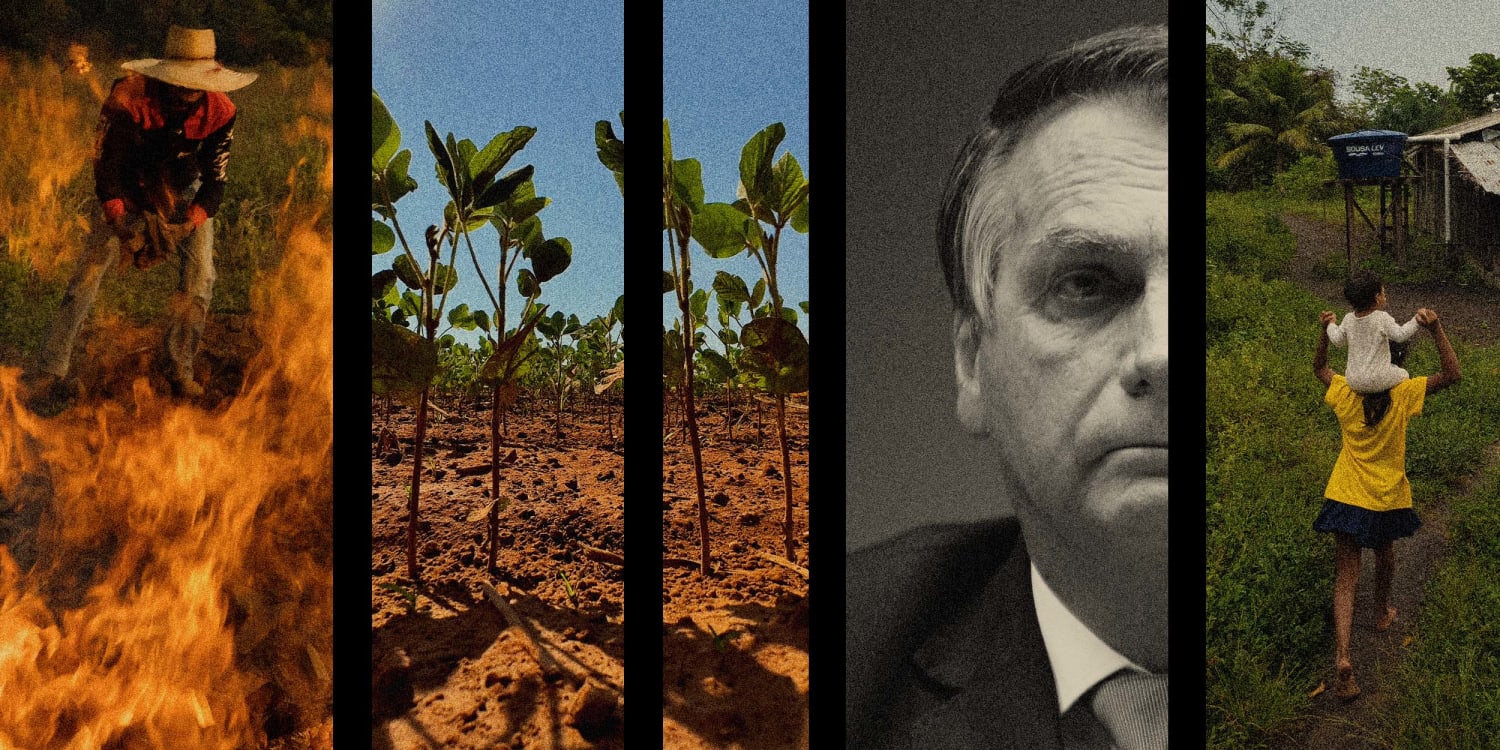 Ranchers and farmers are destroying the rainforest. Is Bolsonaro to blame?