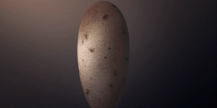 This perfectly preserved dinosaur egg shows long-held theory