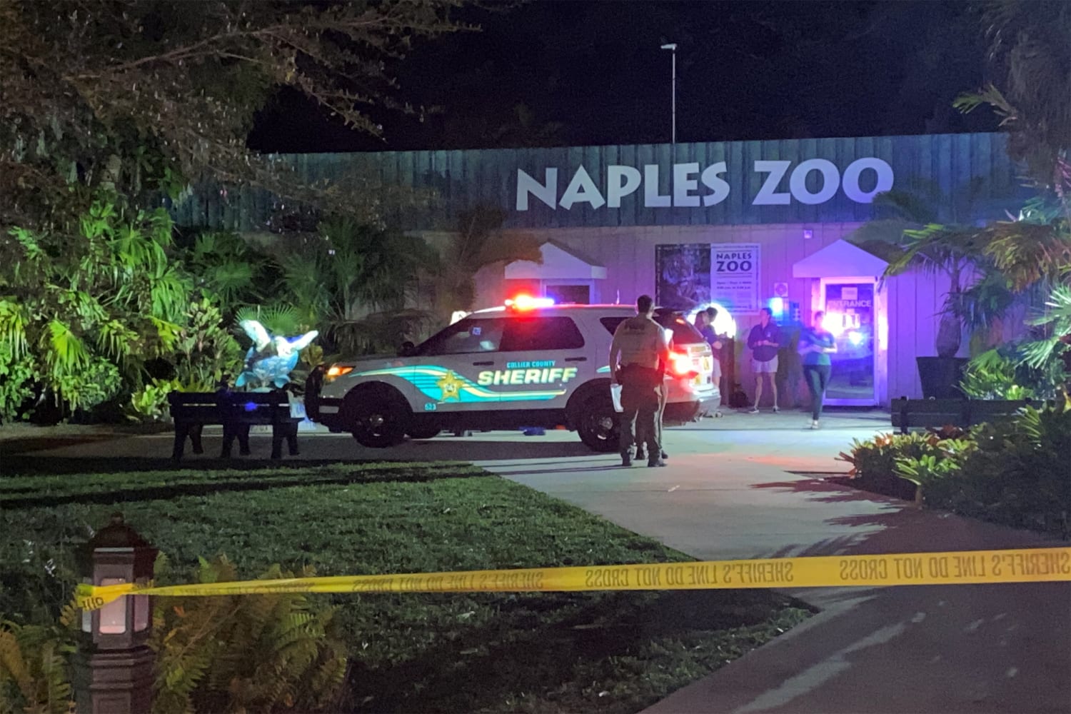 Tiger fatally shot after biting worker’s arm at Florida zoo, authorities say