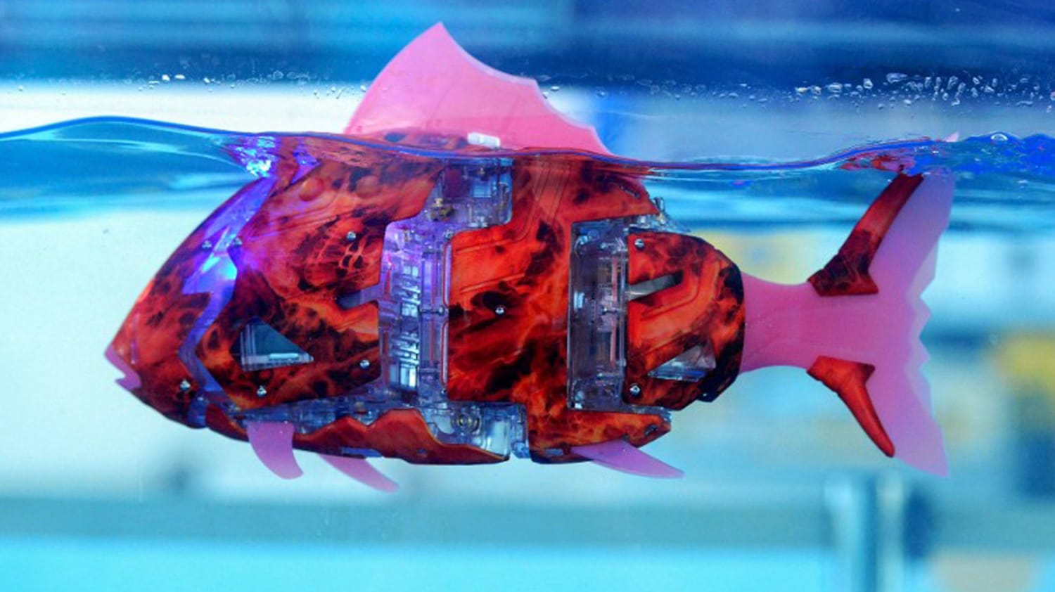 Crean un robot pez para alejar a las especies acuáticas invasoras