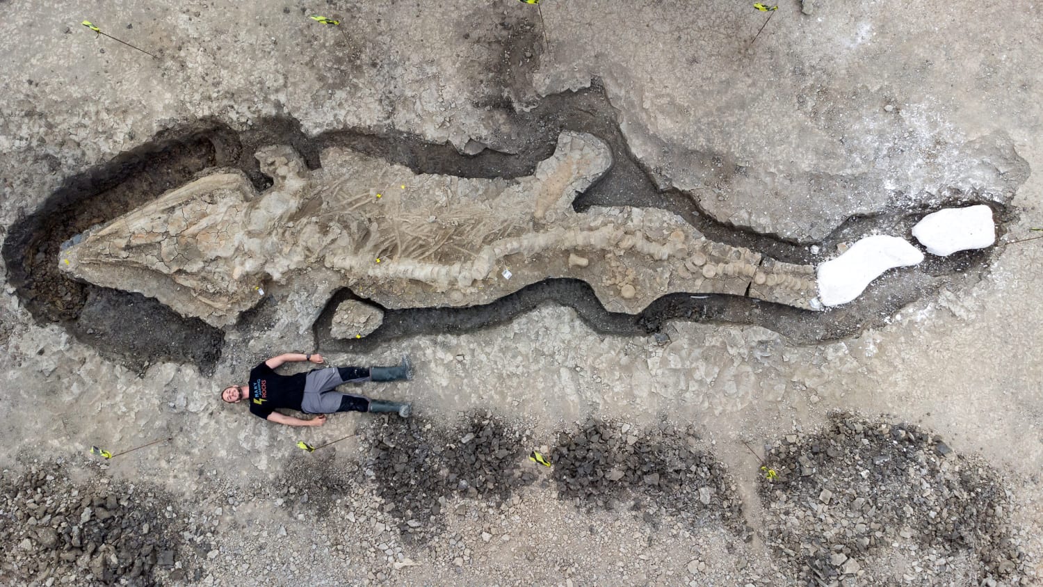 Scientists unearth a 32-foot-long prehistoric ‘sea dragon’ fossil in Britain