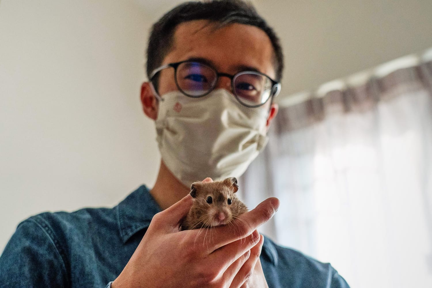 Hamsters and mail: New Covid threats in China, Hong Kong dismay residents and experts