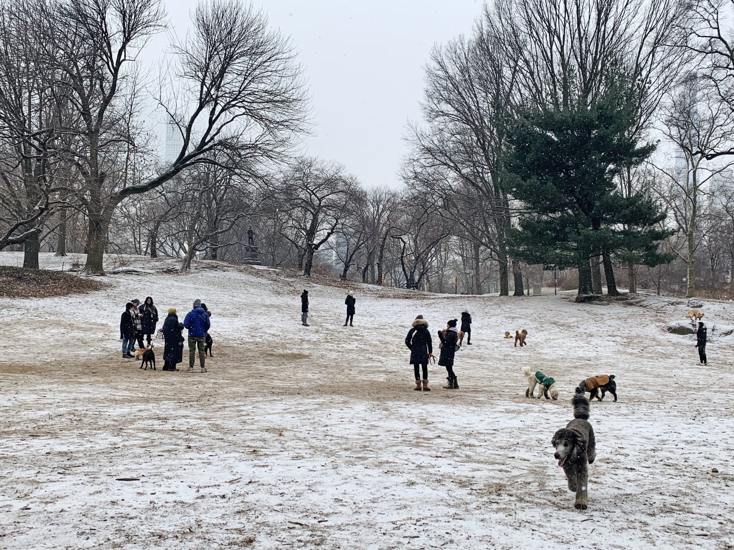 Snow-verwhelmed: Already Buried, Boston Braces for Yet Another