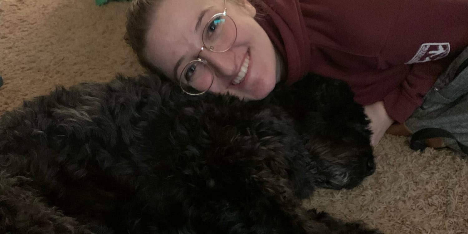 Should You Tip Your Dog Walker