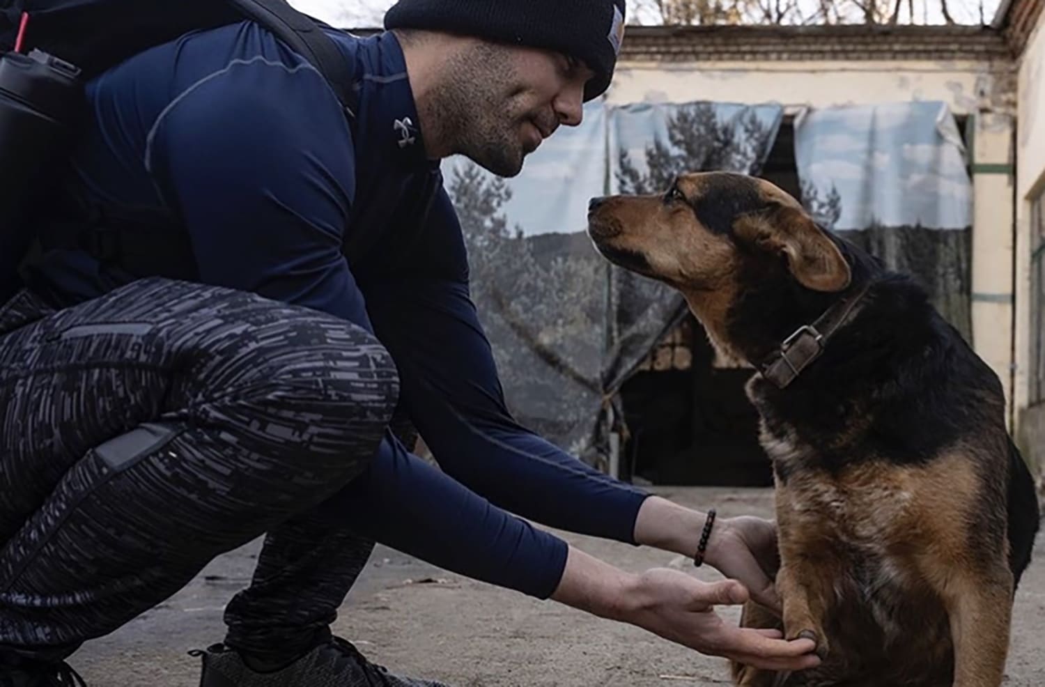 Ukraine Animals: American Man Cares For Pets In Ukraine Shelter