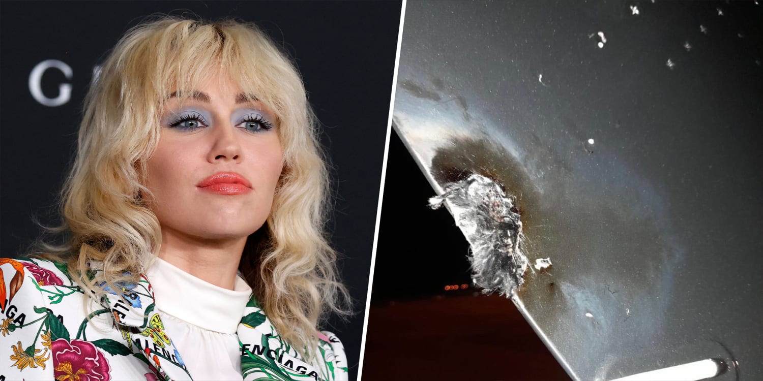 Miley Cyrus Plane Is Struck By Lightning And Makes Emergency Landing Singer Says
