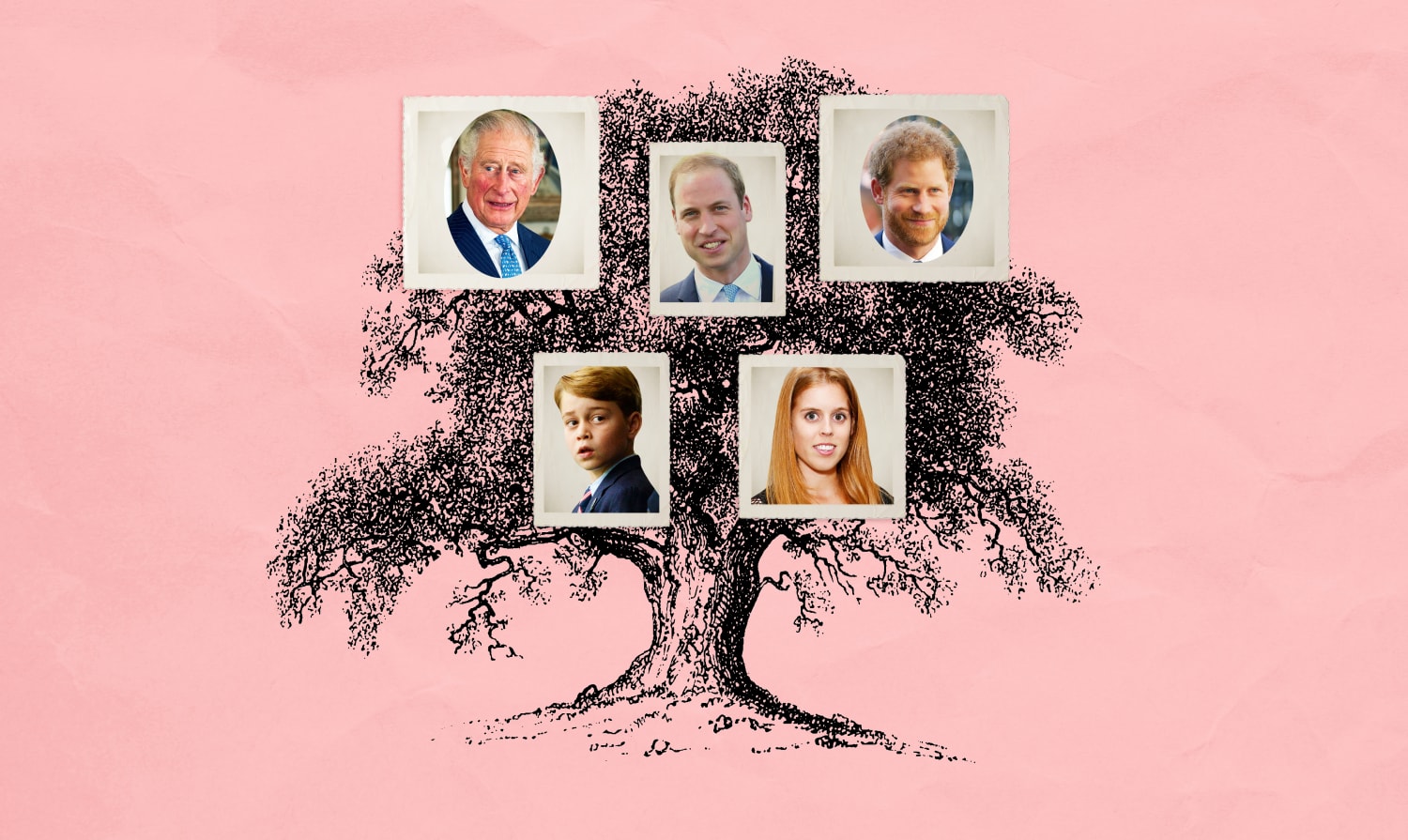 The British royal family tree: The full list of Queen Elizabeth II's descendants