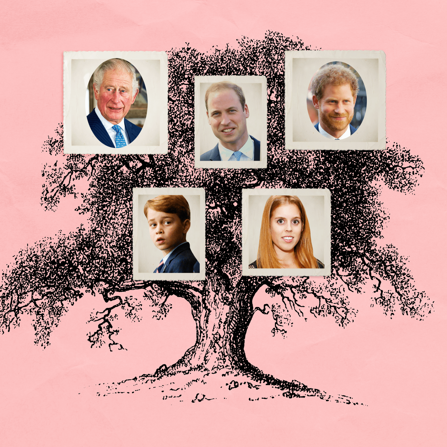 Grimaldi Family Tree