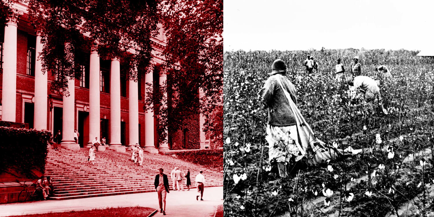 Harvard slavery report shows why race-conscious admissions are absolutely  critical