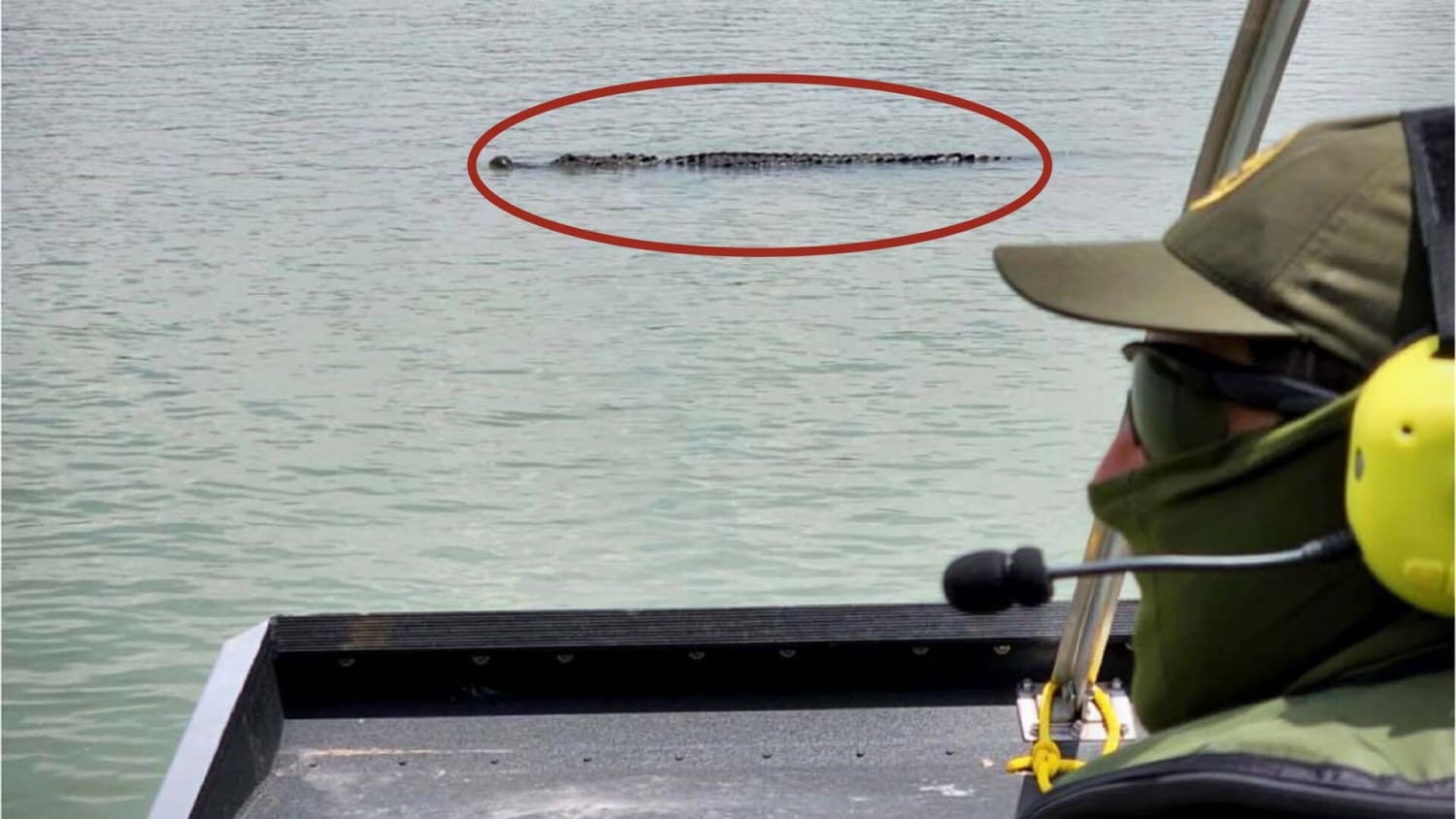 \, image size:1500x844