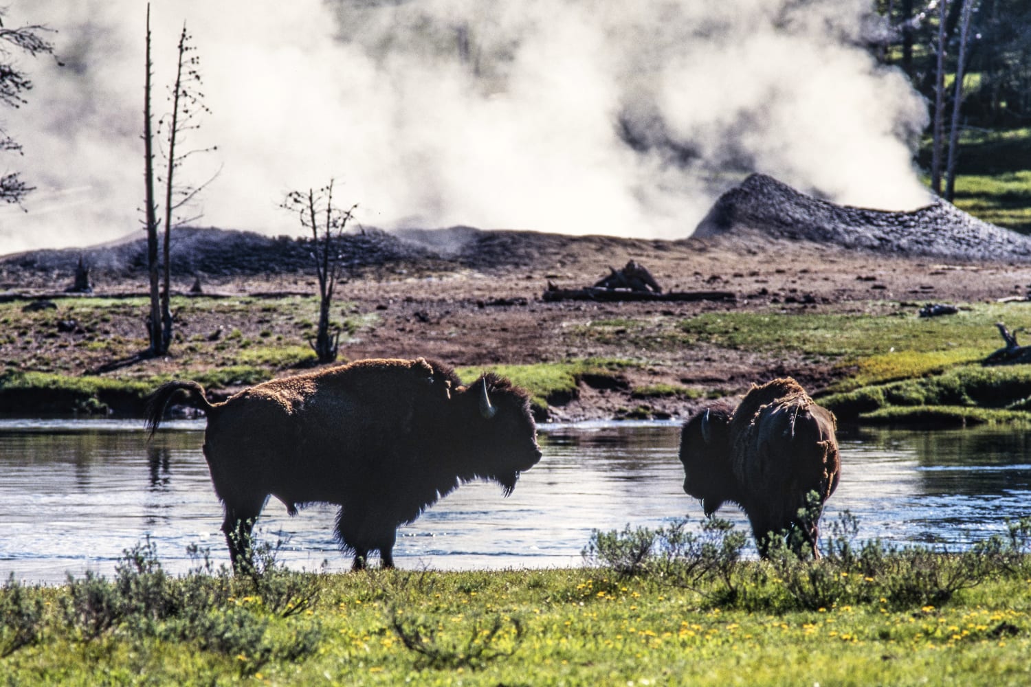 Những điều tuyệt diệu, kỳ thú ẩn chứa trong công viên quốc gia Yellowstone - 12