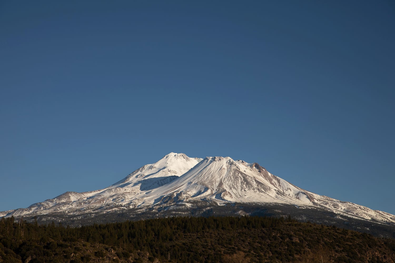 are dogs allowed in mount shasta