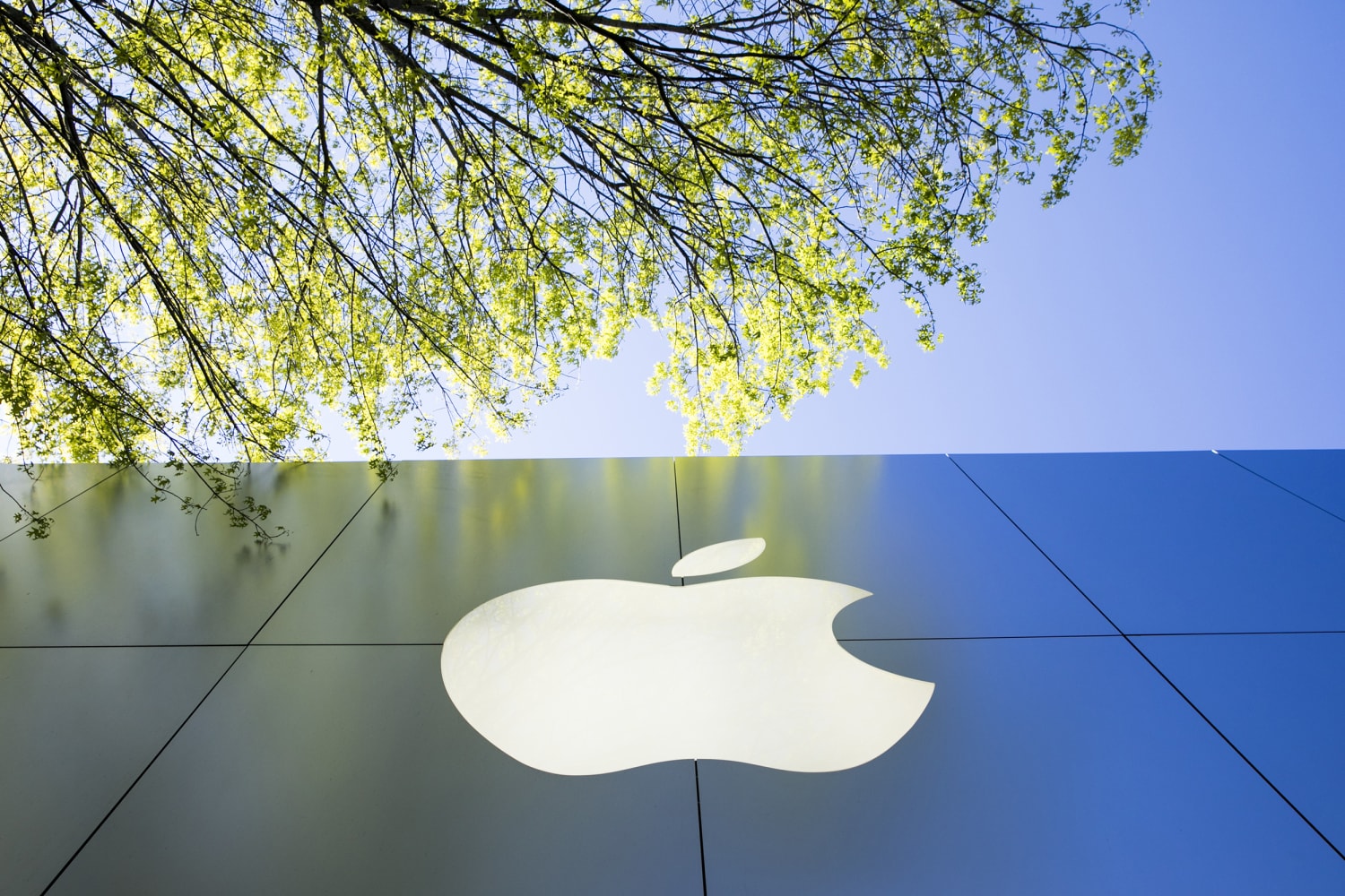 Apple's Unionized Maryland Store Files Complaint Over Benefits