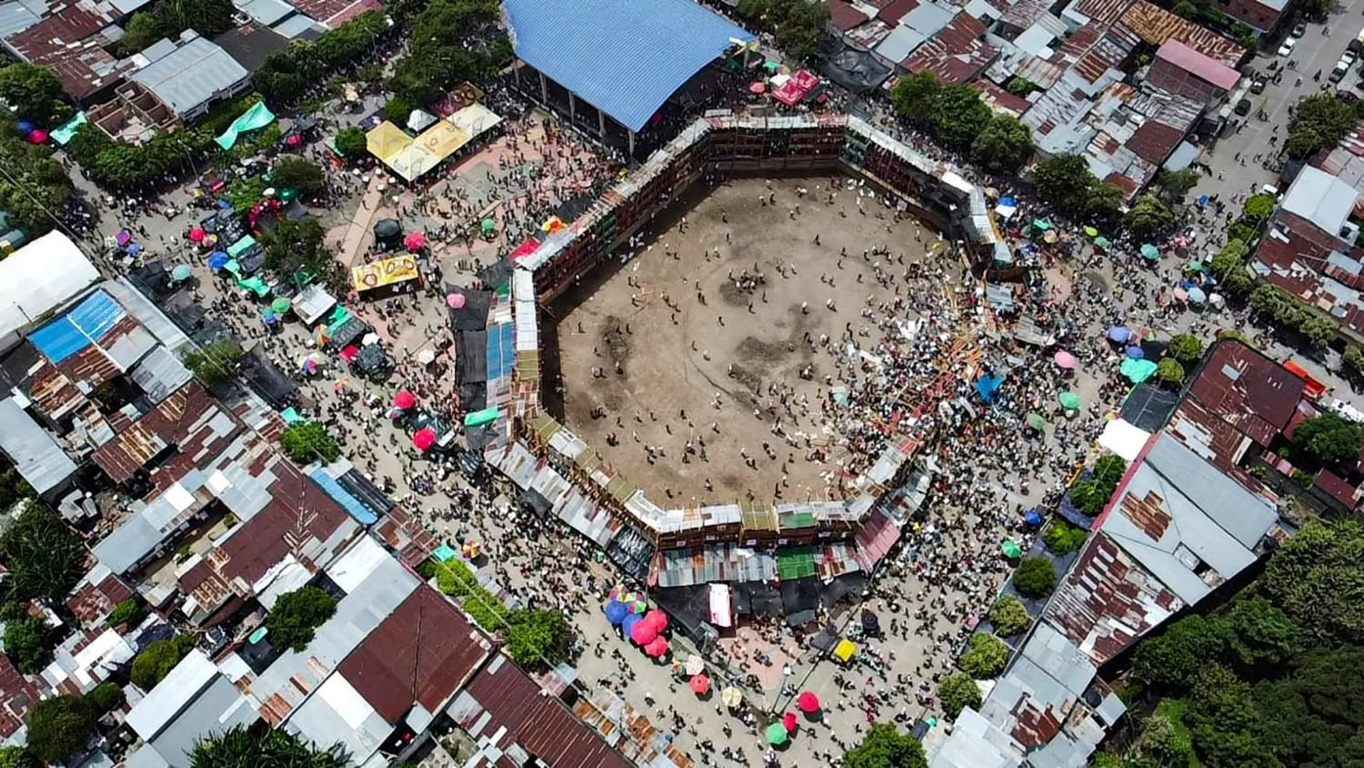 No more bullfighting: a Colombian arena becomes a biodiversity vehicle