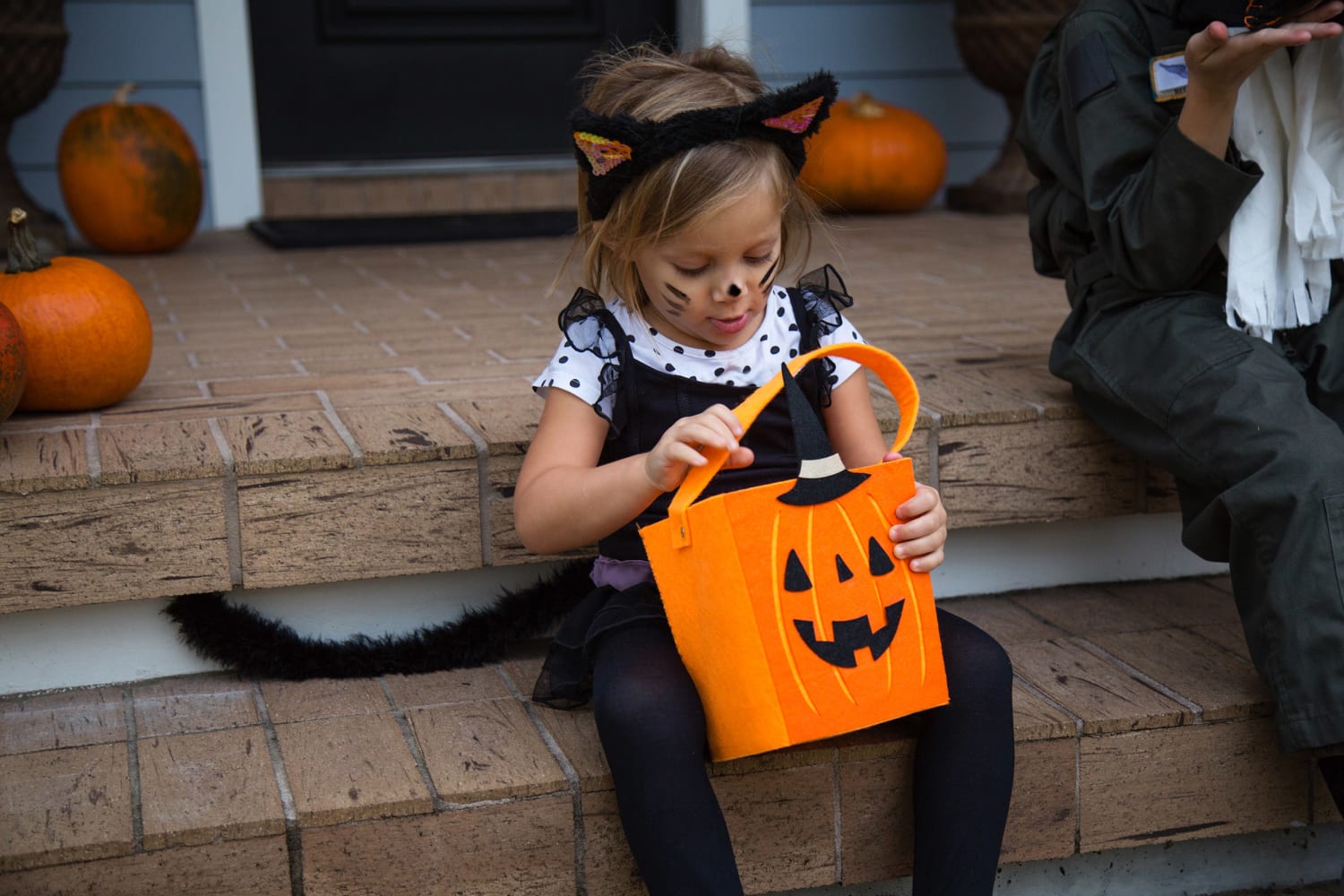 Undskyld mig kontrol Vie 12 Easy Cat Halloween Makeup Ideas for Kids and Adults