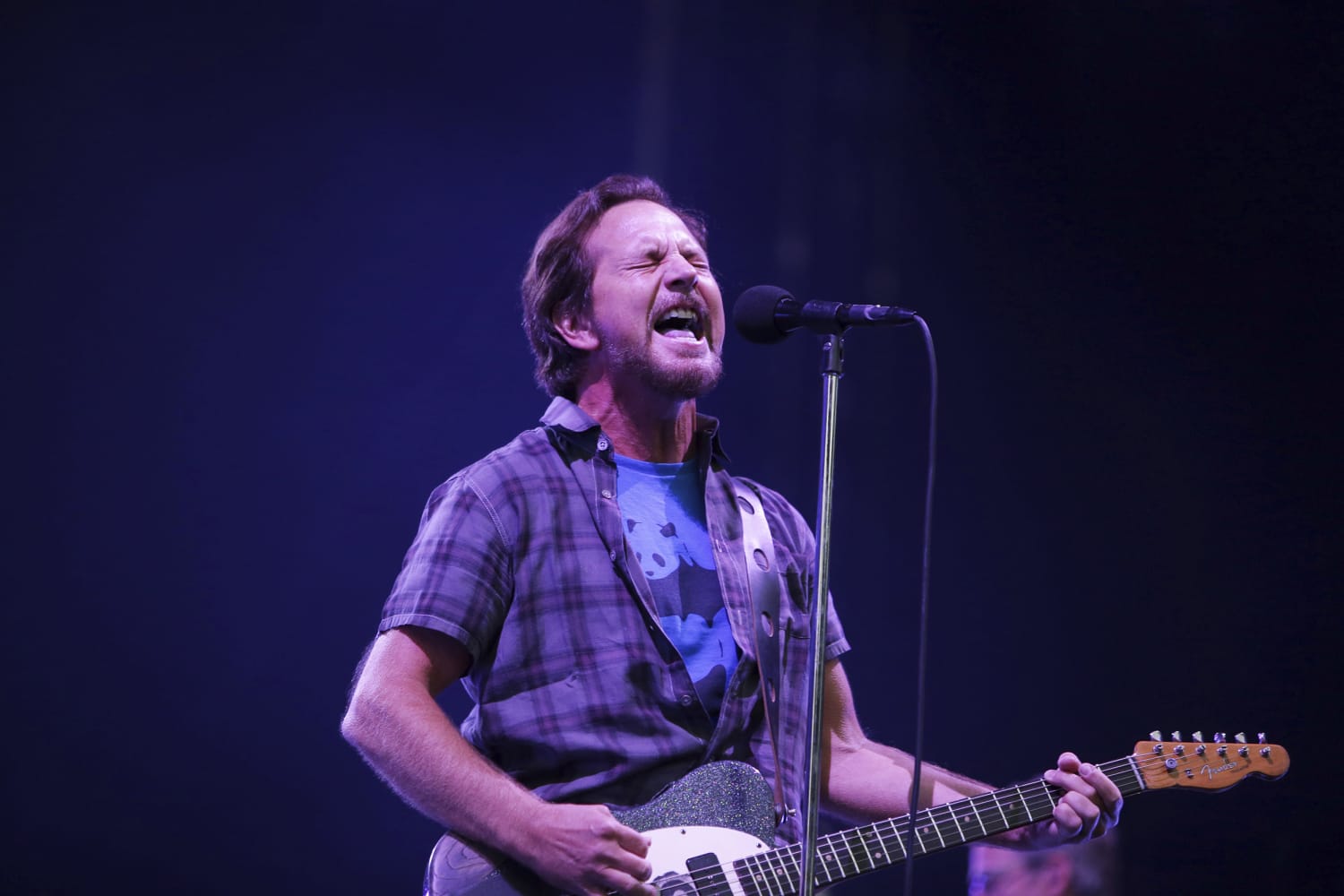 Pearl Jam cancel shows after Eddie Vedder's vocal cords are