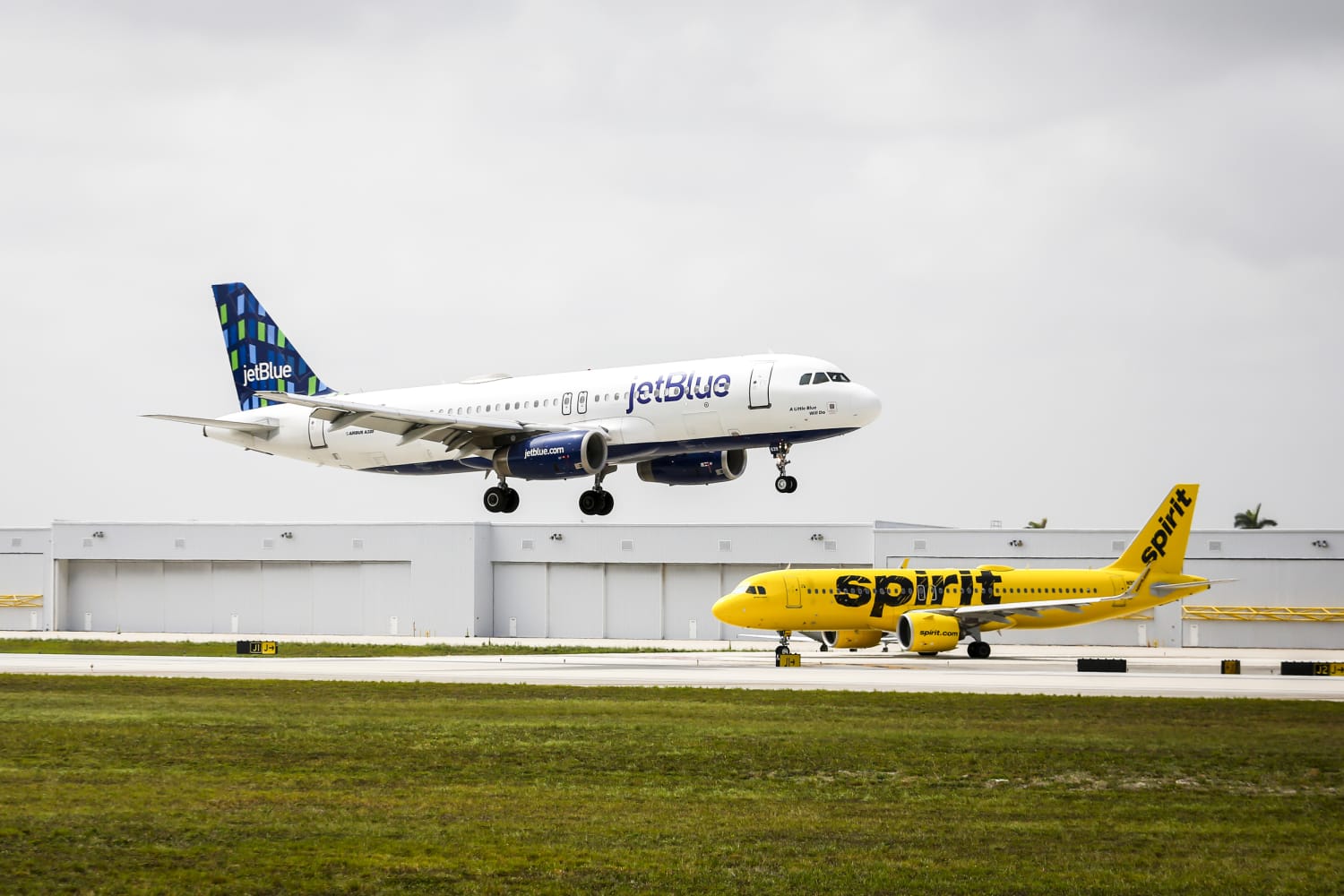 How knocking out one of America’s largest low-cost carriers could upend the travel market