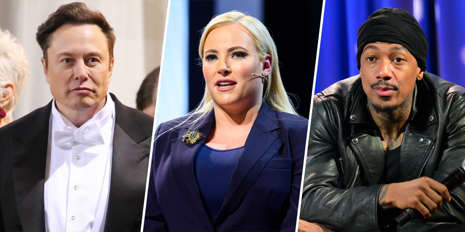 Meghan McCain slams Elon Musk, Nick Cannon for 'impregnate the planet  mentality' in scathing op-ed