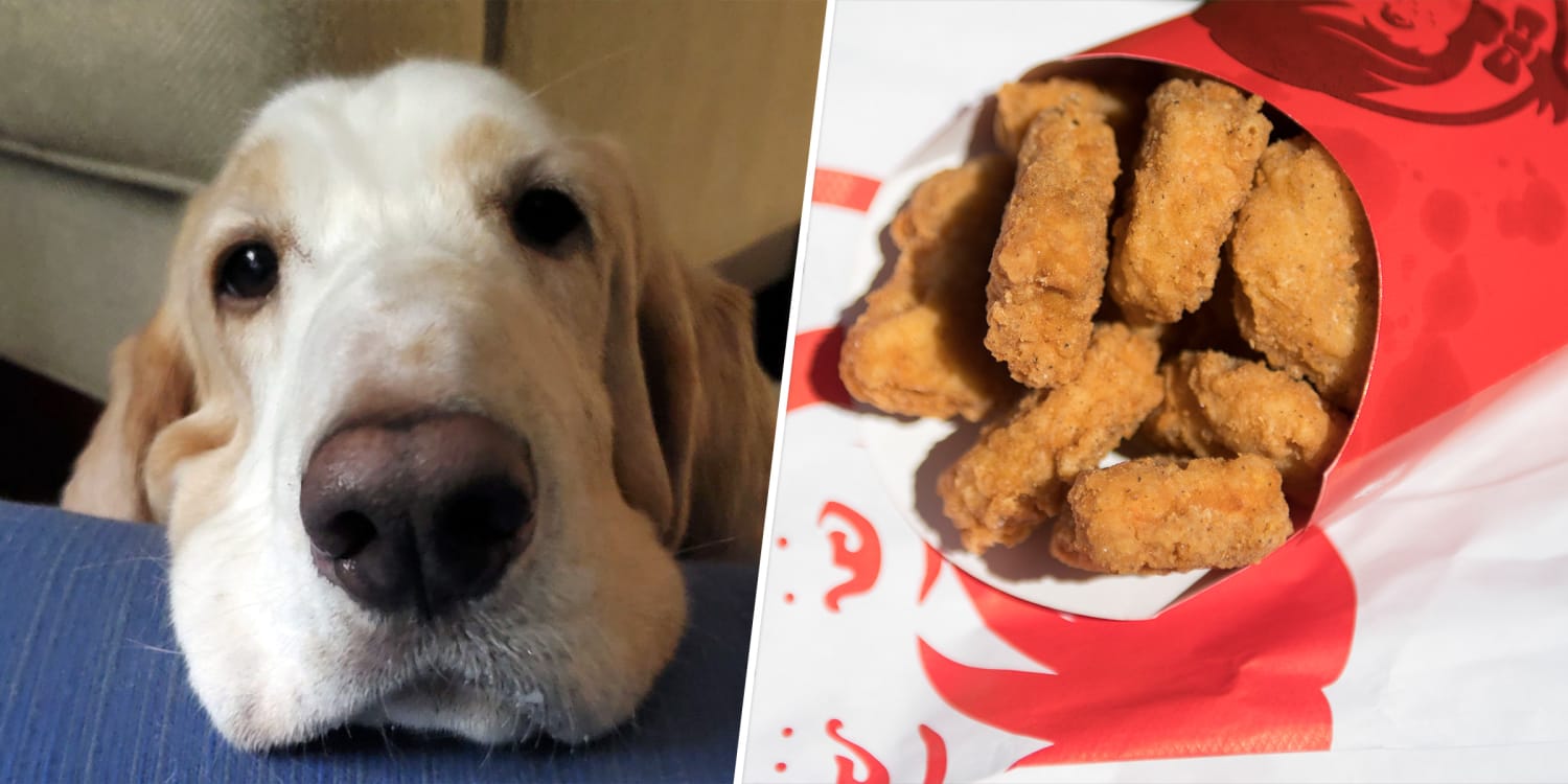 Can Dogs Eat Chicken Nuggets?  