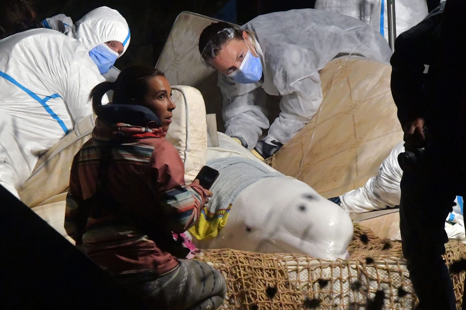 Stranded beluga whale dies during River Seine rescue operation