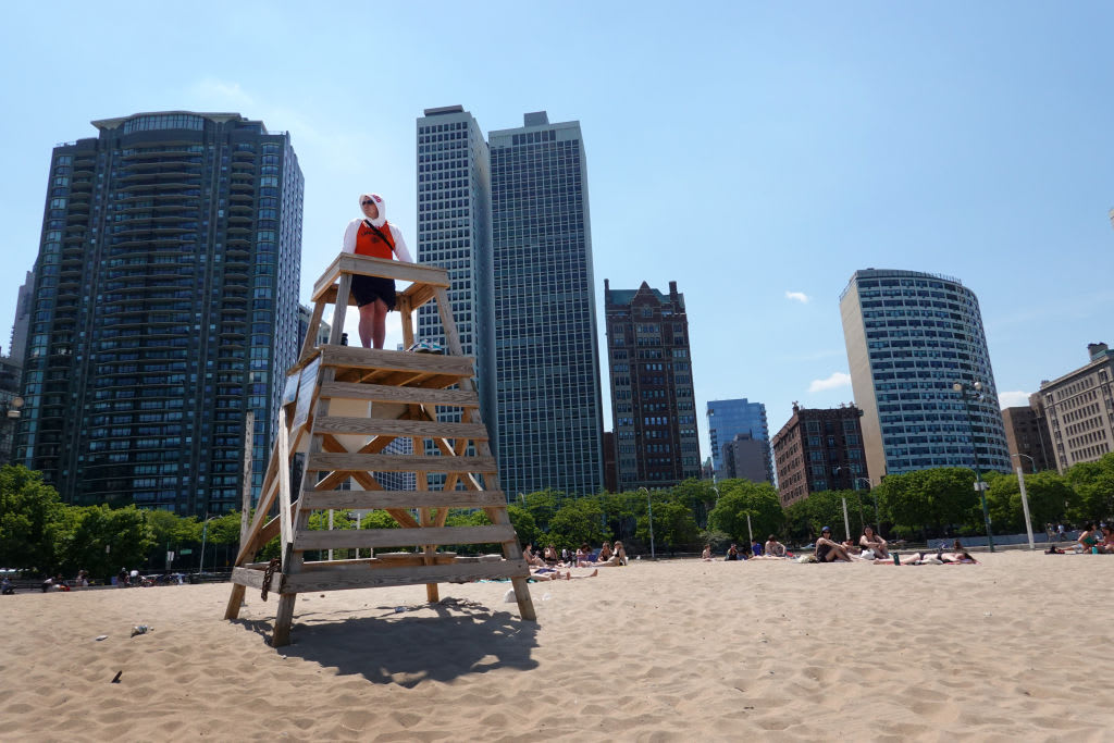 are dogs allowed on chicago beaches