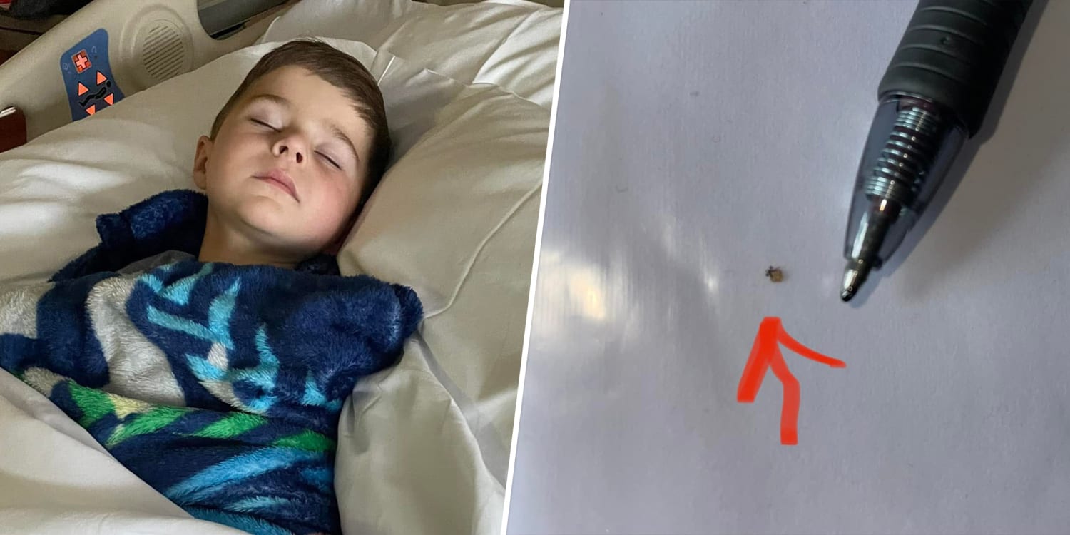 Powassan Virus Symptoms From Mom Of Boy Infected by Tick Bite