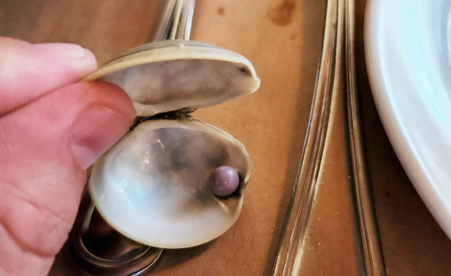 pearl clam shell