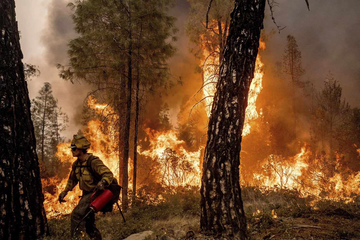 Dozens of buildings burn as gusty winds fan California wildfire